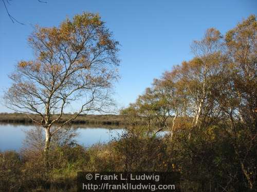 Coole Park, County Galway